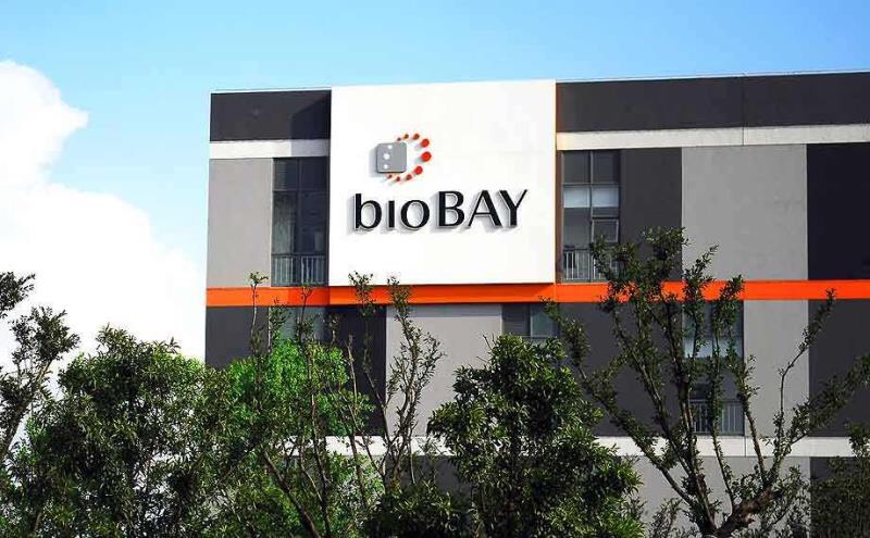 bioBay建物